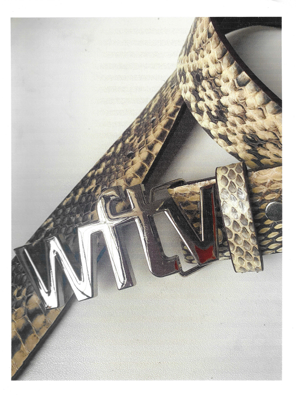 SAL Belt | WFTV LLC SAL Belt | WFTV LLC